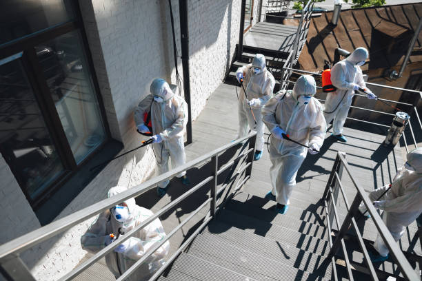 Best Mold Odor Removal Services  in Cadillac, MI