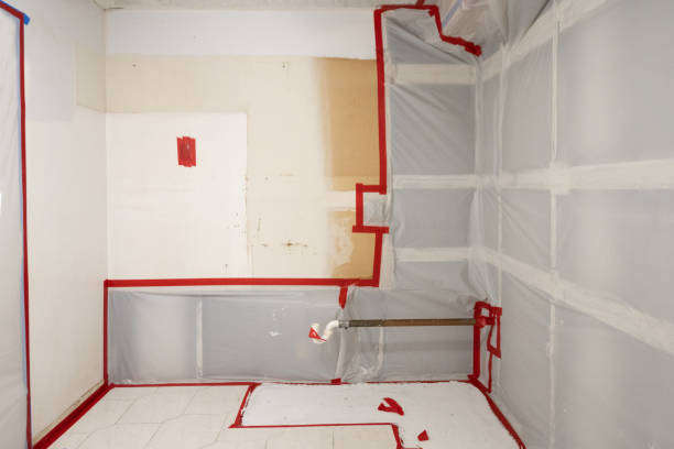 Mold Odor Removal Services in Cadillac, MI