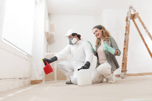 Best Industrial Mold Remediation  in Cadillac, MI