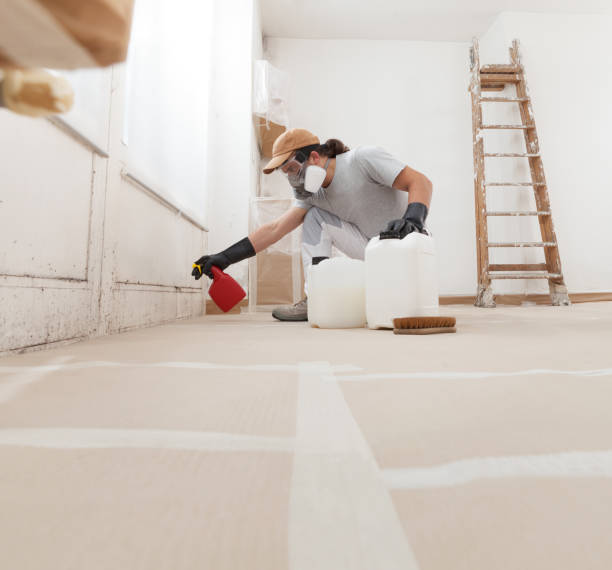 Best Forensic Mold Investigation  in Cadillac, MI